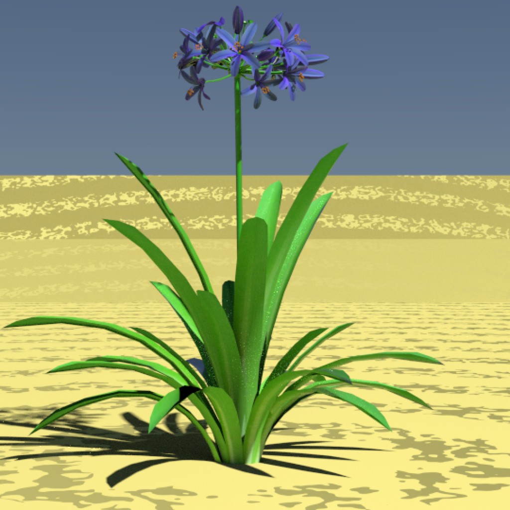 Agapanthus preview image 1